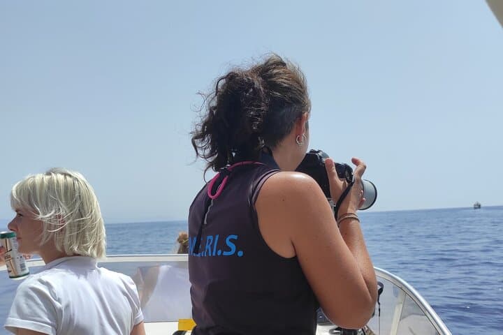 Dolphin Watching in Porto Empedocle: 4-Hour Research Cruise with Biologists photo 3