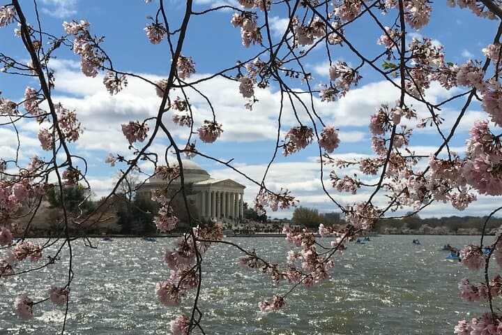 Custom Capitol Wheels: Half-Day Private Washington DC Bike Tour photo 6