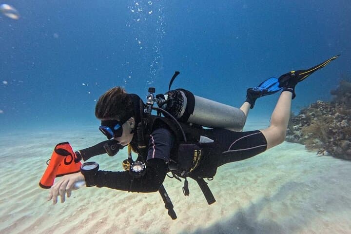Mahahual Mesoamerican Reef: Small-Group Scuba with Aluxdivers photo 6