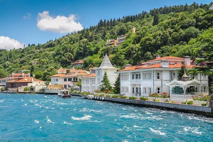 Princes' Islands Day Trip from Istanbul: Boat Cruise, Carriages & Lunch photo 5