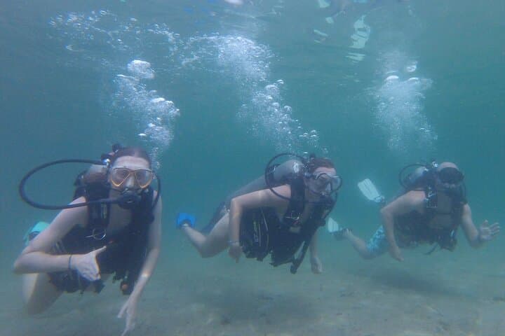 Try Scuba Diving at St. Andrews Jetties — Panama City Beach Beginners' Dive photo 3