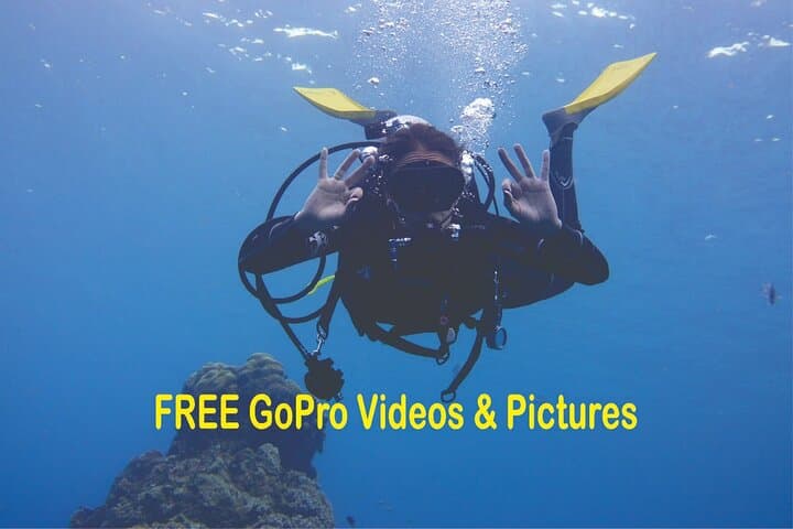 Try Scuba Diving at St. Andrews Jetties — Panama City Beach Beginners' Dive