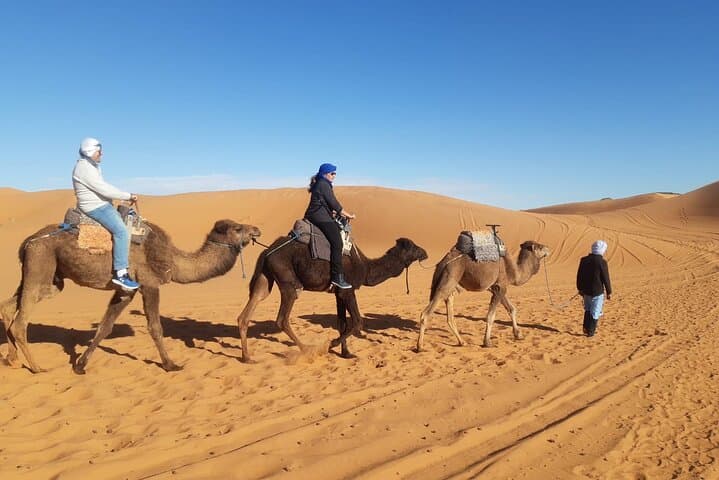 Overnight in Erg Chebbi: Camel Ride and Luxury Desert Camp from Errachidia photo 3