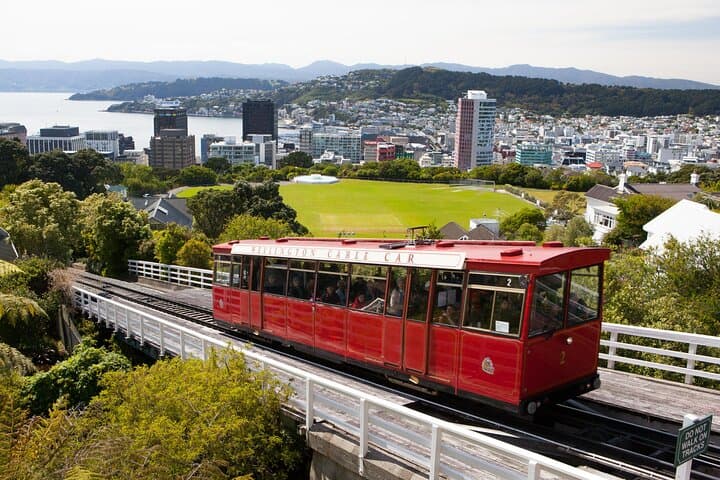 Wellington Shore Excursion: Mt Victoria, Cable Car & Botanic Garden Highlights photo 6
