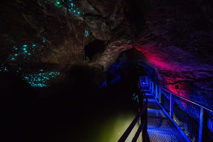 Private Waitomo Glowworm & Ruakuri Cave Day Tour from Auckland photo 4