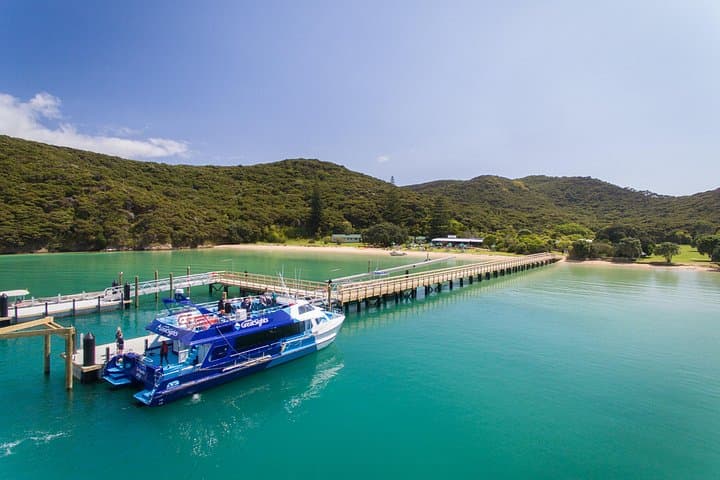 Bay of Islands Explorer: Hole-in-the-Rock Cruise & Urupukapuka Island Day Trip from Auckland