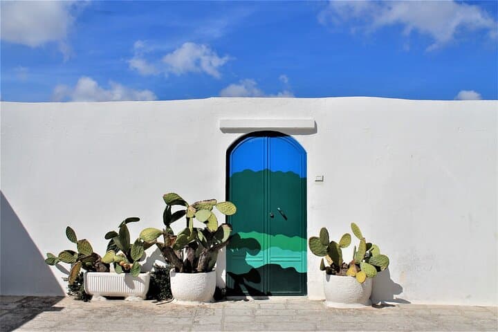 E‑Bike Through Ostuni’s Millenary Olive Plain: Farm Tasting & White City Sights photo 3