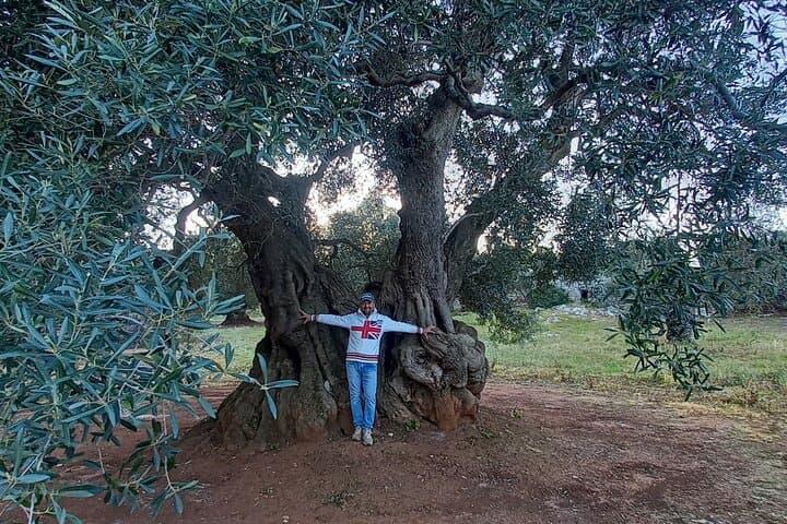 E‑Bike Through Ostuni’s Millenary Olive Plain: Farm Tasting & White City Sights photo 6