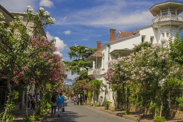 Princes Islands Day Trip from Istanbul: Ferry Cruise, Mansions & Swim photo 3