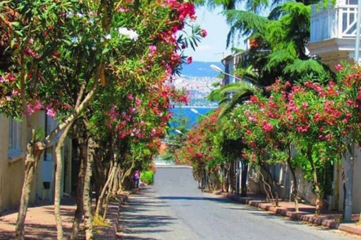 Princes Islands Day Trip from Istanbul: Ferry Cruise, Mansions & Swim photo 6