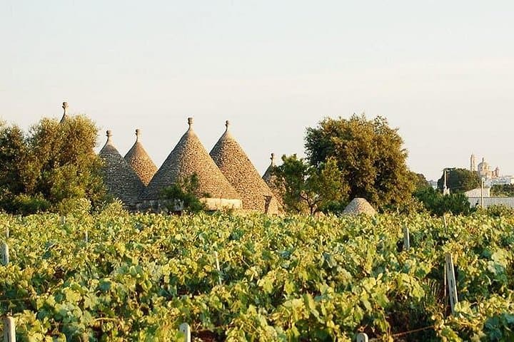E-Bike Through Cisternino: Winery, Oil Mill & Itria Valley Countryside photo 2