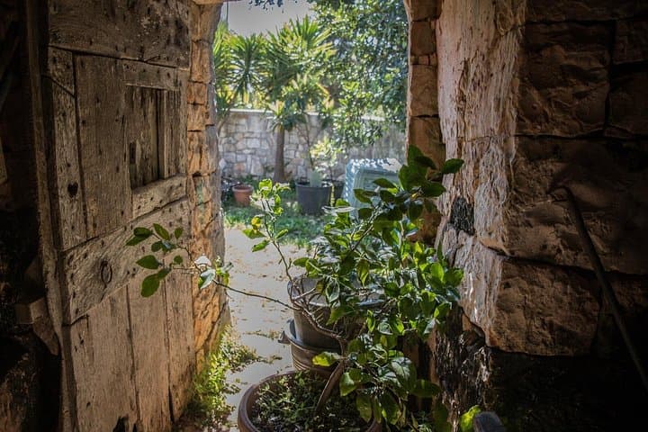 E‑Bike Tour in Locorotondo: Historic Streets, Olive Mill Visit & EVOO Tasting photo 1
