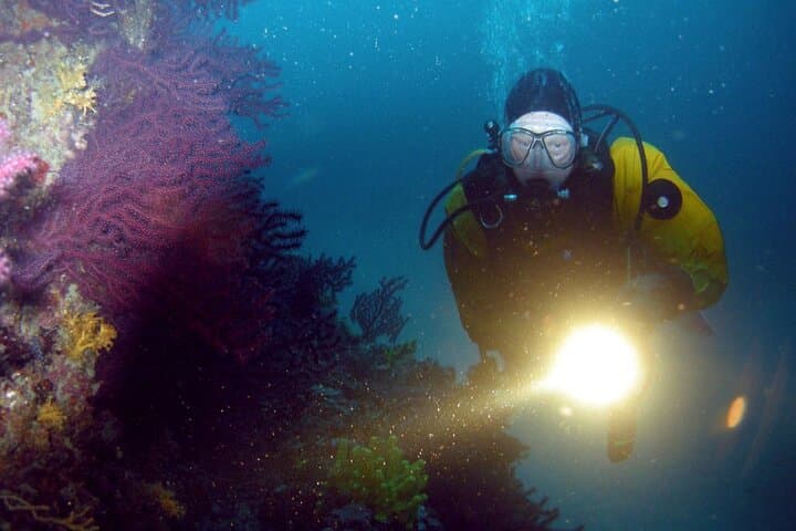 Private Discovery Dive from Pod Beli Beach — Introductory Scuba on Cres Island photo 6