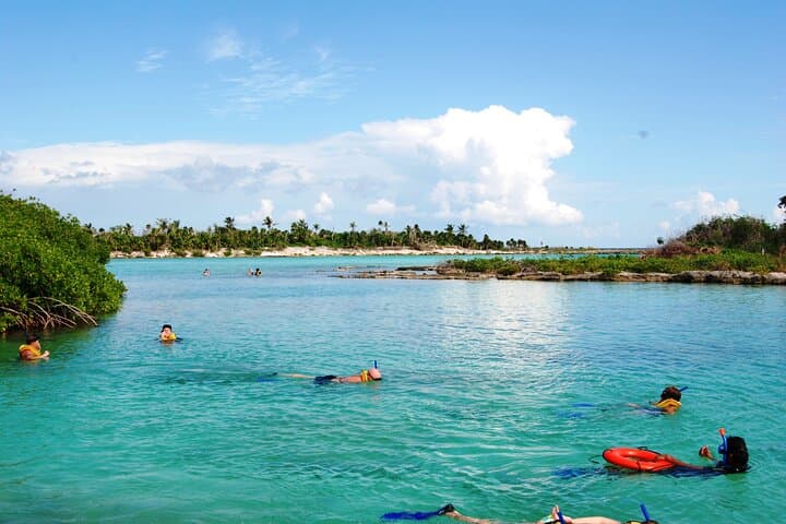 Snorkel Yalku Inlet and Two Cenotes: Day Tour from Tulum photo 4