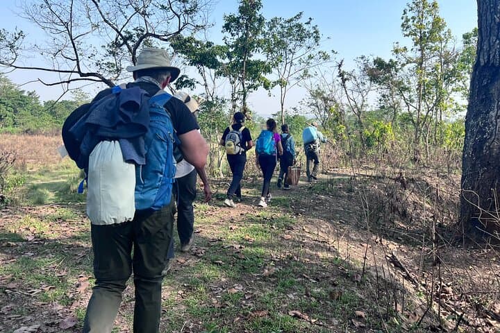 5-Day Guided Jungle Walk in Chitwan National Park — Rhinos, Tigers & Tharu Villages