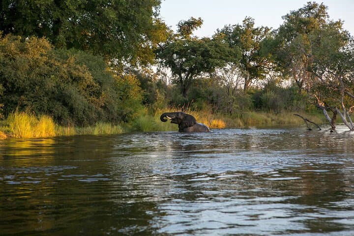 Zambezi Sunset Cruise: Victoria Falls Evening Wildlife, Drinks & Views photo 2