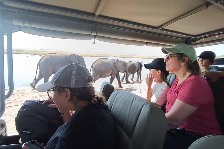 Chobe Full-Day Safari: Boat Cruise and Game Drive from Victoria Falls