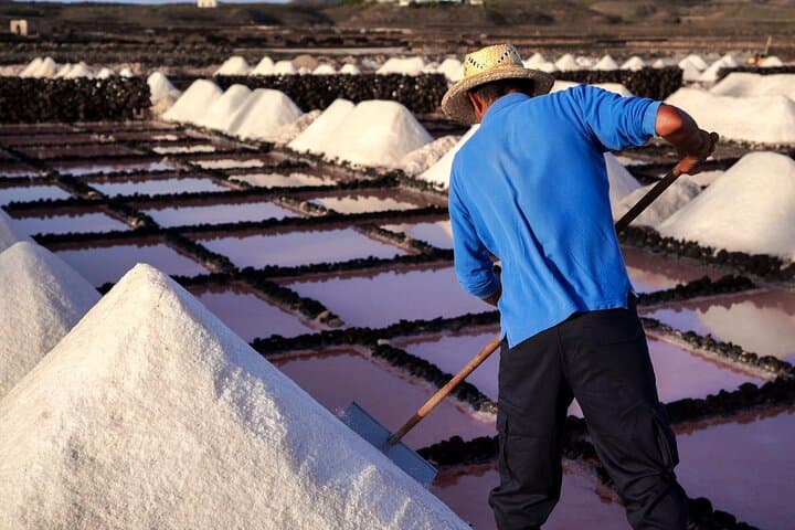 Salinas de Janubio Guided Salt Flats Tour & Flor de Sal Tasting — Lanzarote photo 4
