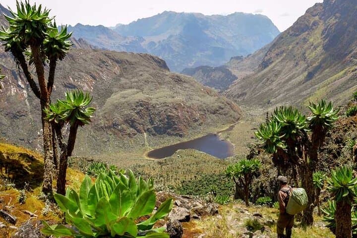 14-Day Marathon Training Camp in Uganda: Run, Raft & Rwenzori Peaks photo 2