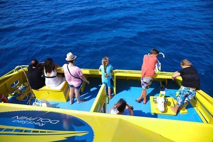 Hurghada Semi‑Submarine and Paradise Island Day Trip — Red Sea Snorkeling & Beach Escape photo 4