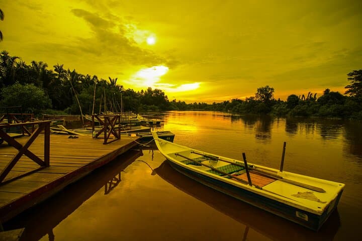 Kuala Selangor Firefly Tour: Private Day Trip from Kuala Lumpur