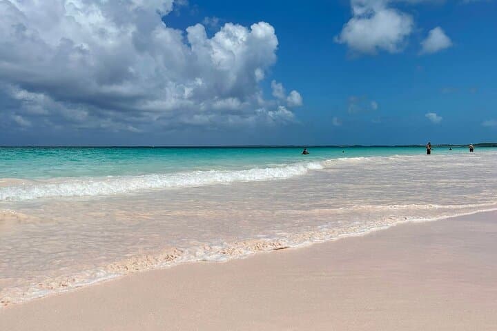 Pink Sands & Swimming Pigs: Eleuthera and Harbour Island Day Tour