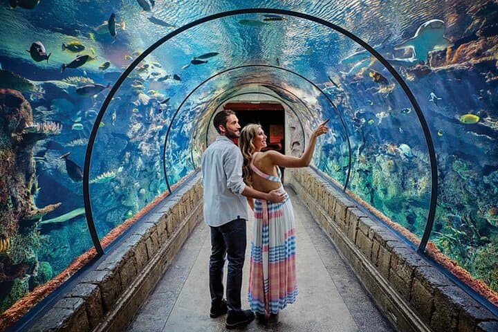 Shark Reef at Mandalay Bay: Las Vegas Aquarium Tickets, Tips & Visitor Guide