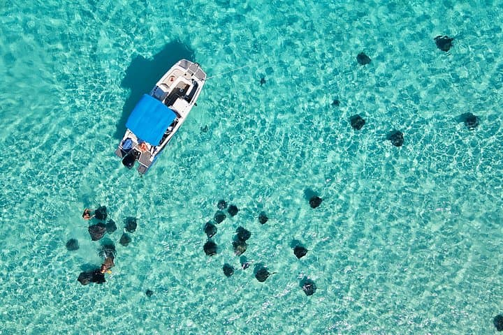 Sunrise at Stingray City — Private Sandbar Tour from Camana Bay photo 1
