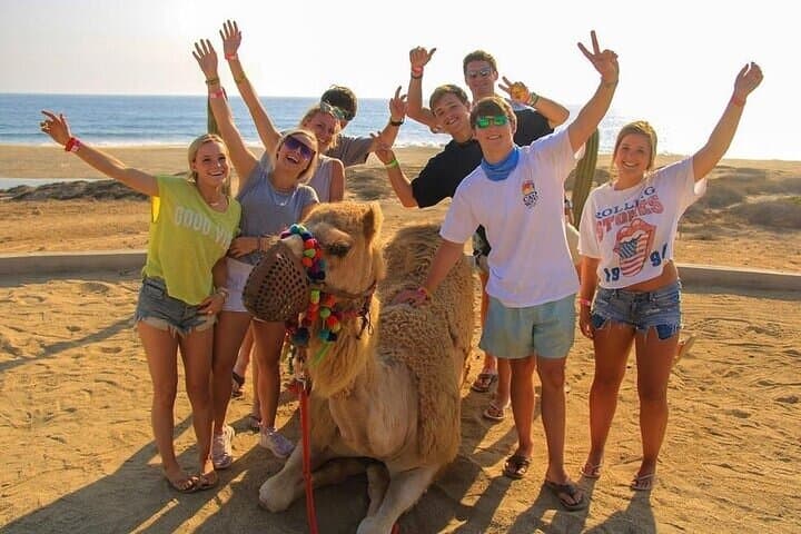 Cabo 3-Day Play Pass — Flexible ATV, Horseback & Camel Adventures photo 2