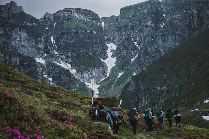 Private Hike Through Mălăiești Valley to Bucegi Plateau (From Brașov)