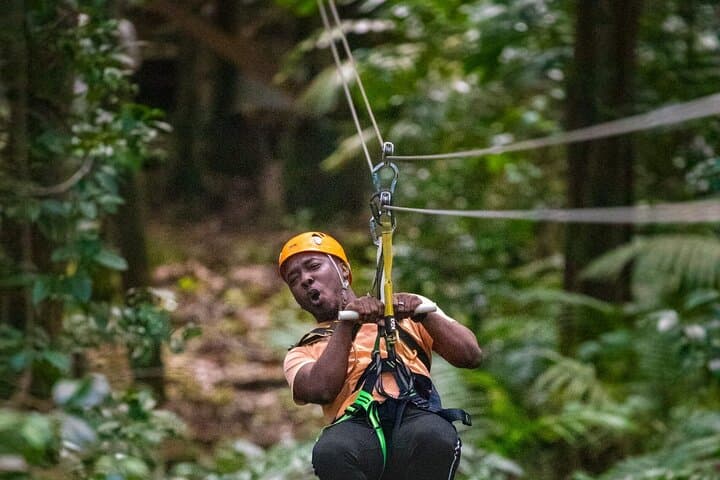 St Lucia Ultimate 3: Aerial Tram, Zipline & Rainforest Hike in Castries Waterworks Reserve