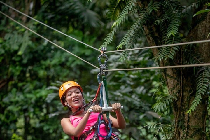 St Lucia Ultimate 3: Aerial Tram, Zipline & Rainforest Hike in Castries Waterworks Reserve photo 4