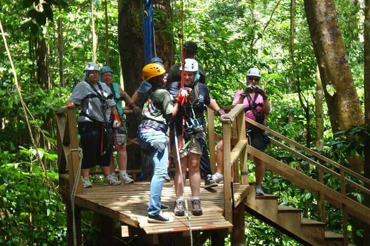 St Lucia Ultimate 3: Aerial Tram, Zipline & Rainforest Hike in Castries Waterworks Reserve photo 3