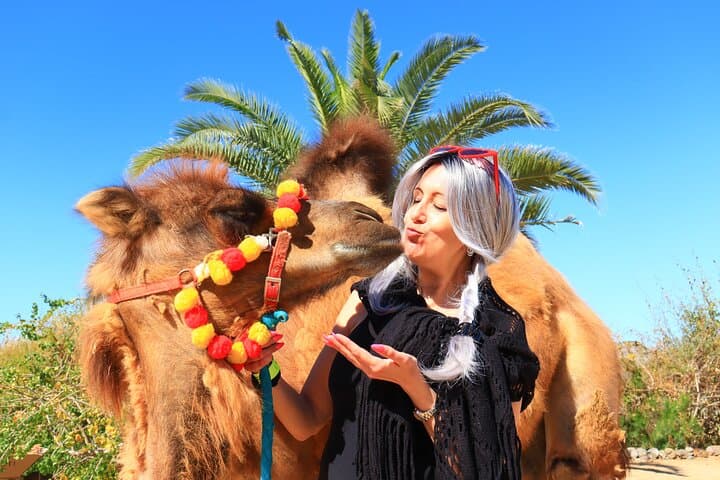 Cabo ATV and Camel Beach Combo with Tequila Tasting photo 5