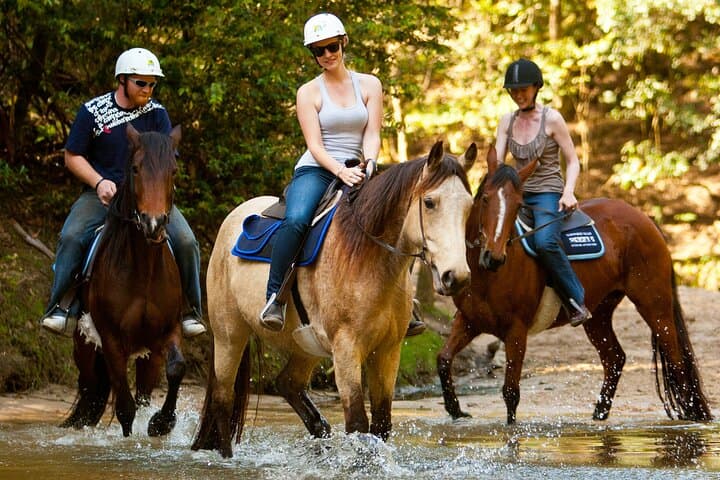 Private Wild Australia Tour from Sydney: Horse Riding, Koalas & Kangaroos photo 1