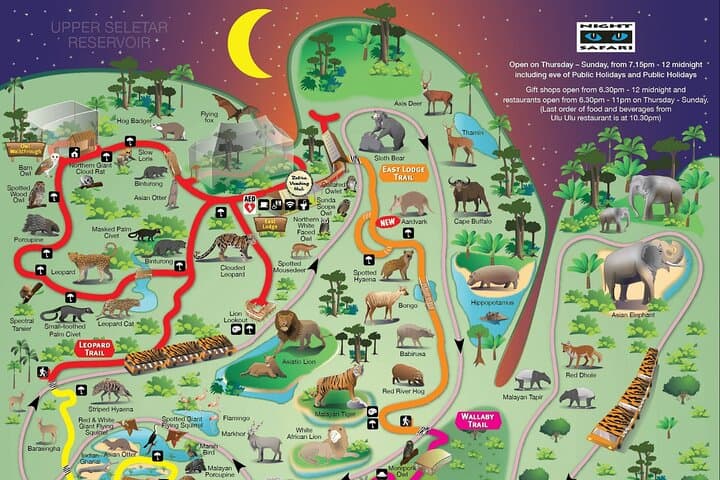Singapore Night Safari Tram Ride — After-Dark Wildlife Experience photo 2