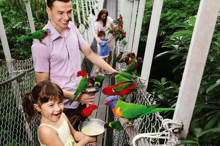 Singapore Night Safari Tram Ride — After-Dark Wildlife Experience photo 4
