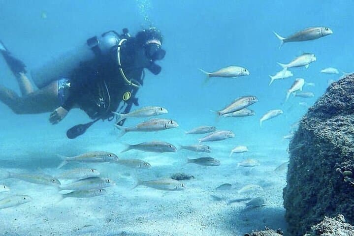 Beginner Scuba Diving in West Palm Beach — Shore Dive with Free Video photo 6