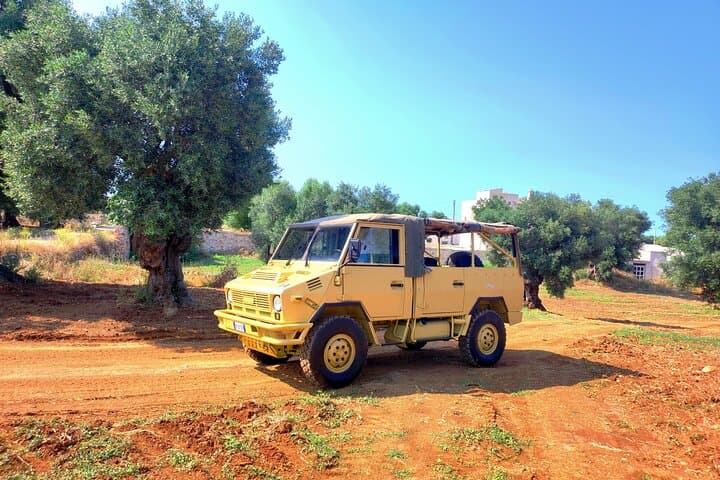 Iveco Adventure Through Ostuni’s Marine Coast and Millennial Olive Groves photo 4