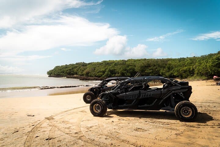 Private Puerto Rico Beach Escape: Piñones, Ocean Park & Vacía Talega in 4 Hours
