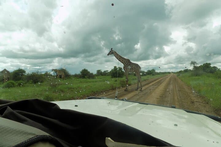 Arusha National Park Day Trip: Momella Lakes, Ranger Walk & Wildlife photo 3