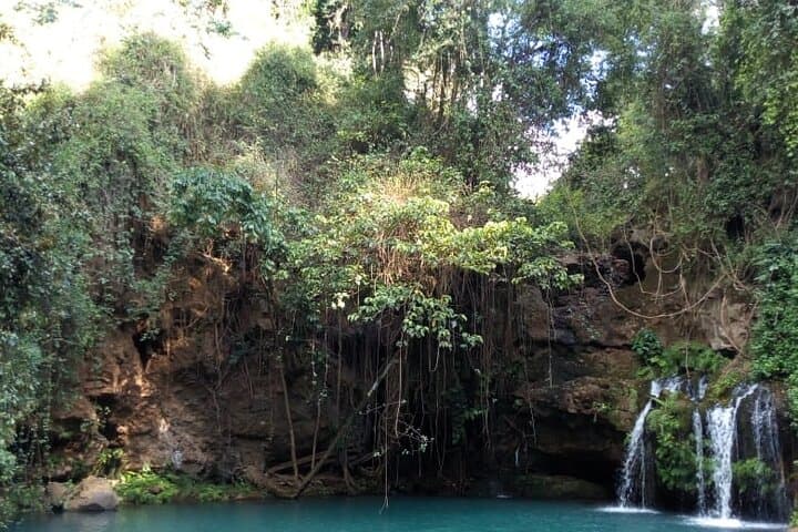 Ngare Ndare Day Trip: Canopy Walks, Waterfall Pools & Wildlife Near Nanyuki photo 4
