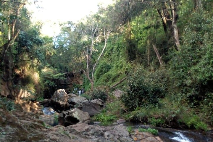Ngare Ndare Day Trip: Canopy Walks, Waterfall Pools & Wildlife Near Nanyuki photo 3