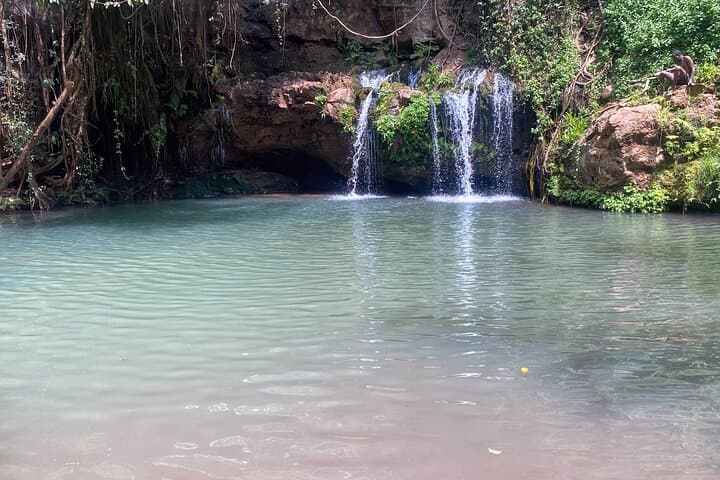 Ngare Ndare Day Trip: Canopy Walks, Waterfall Pools & Wildlife Near Nanyuki