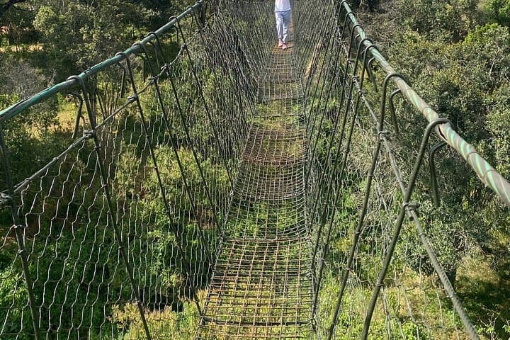 Ngare Ndare Day Trip: Canopy Walks, Waterfall Pools & Wildlife Near Nanyuki photo 2
