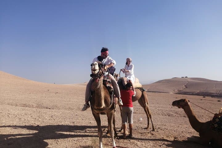 Ourika Valley Day Trip from Marrakech — Waterfalls, Berber Homes & Argan Cooperatives photo 5
