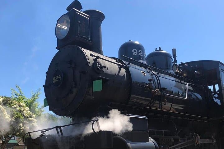 Snoqualmie Falls & Northwest Railway Museum Private Tour — 3-Hour Waterfall and Rail Heritage Excursion photo 4
