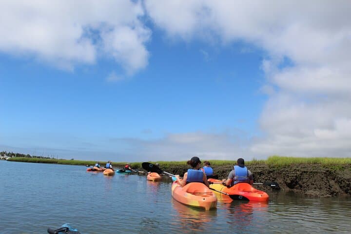 Cape May 2-Hour Kayak Rental: Paddle the Salt Marsh & Osprey Habitat photo 6