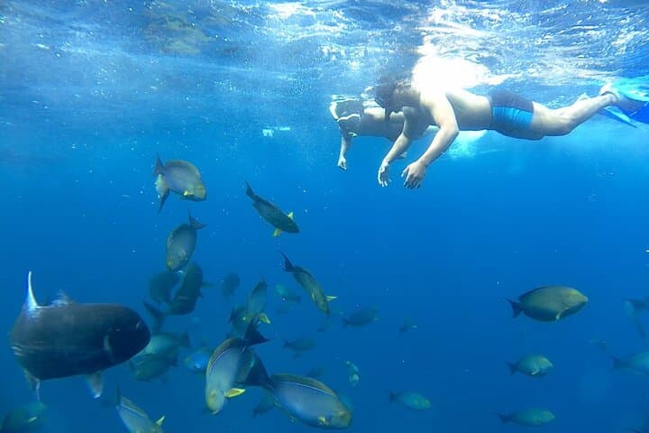 Blue Lagoon Snorkeling in Bali: Marine Gardens, Turtles & Waterfall Add-Ons photo 2