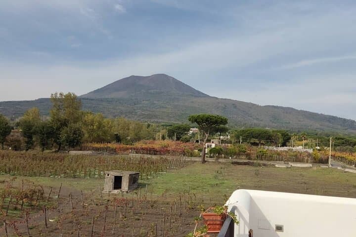 Mount Vesuvius Half-Day Private Hike: Summit Views Over Naples
